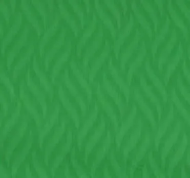 Green Jacquard Handloom