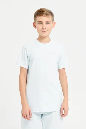 Senior Boys Blue And Navy Plain Short Sleeve T-Shirt (Pack of 2)